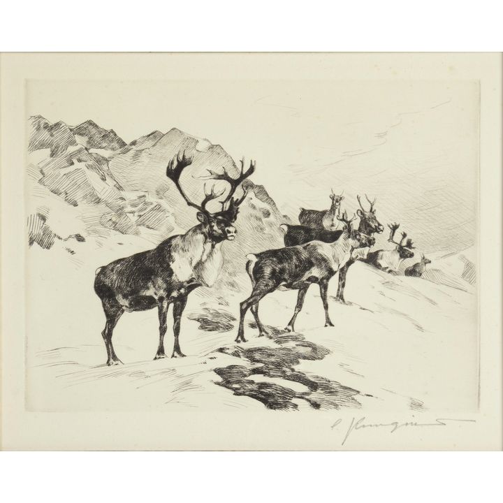 Carl Rungius (1869-1959), Osborne's Caribou