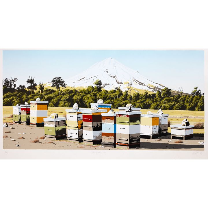 Michael Hight 'Parihaka Rd'