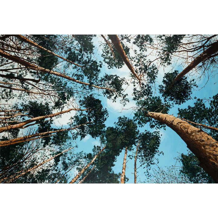 Bartłomiej Kownacki | Widok ofiar, 2013