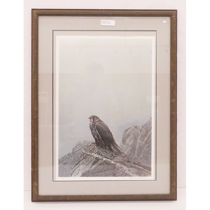 Robert Bateman S/N Hawk Lithograph- 35x27'' framed