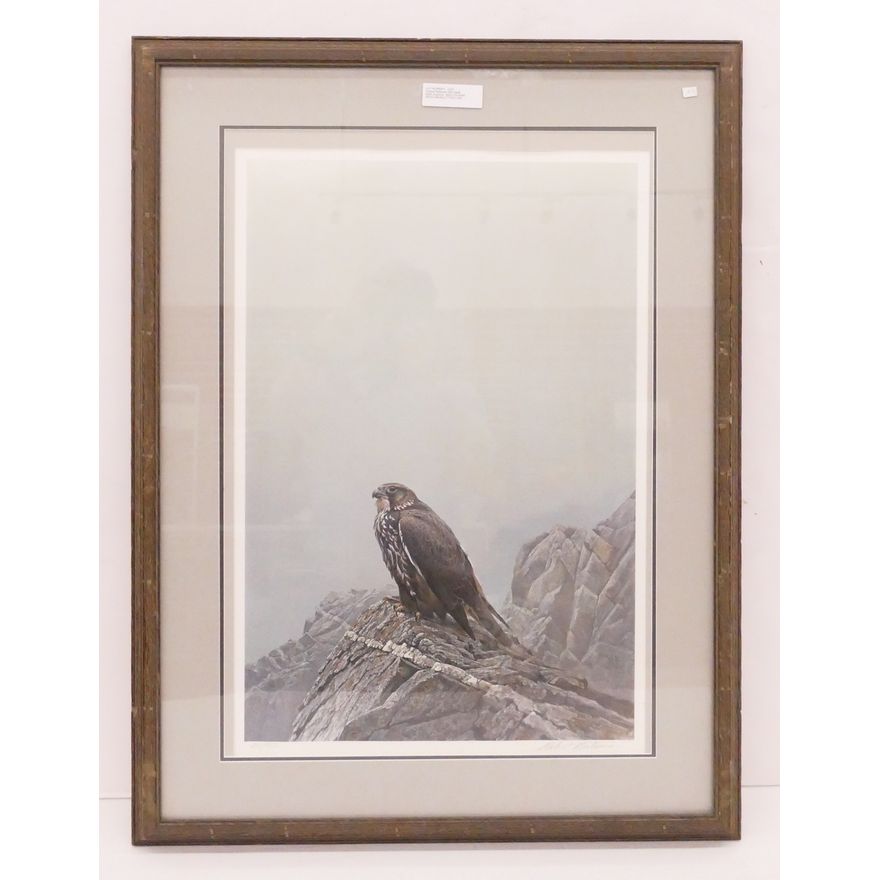 Robert Bateman S/N Hawk Lithograph- 35x27'' framed