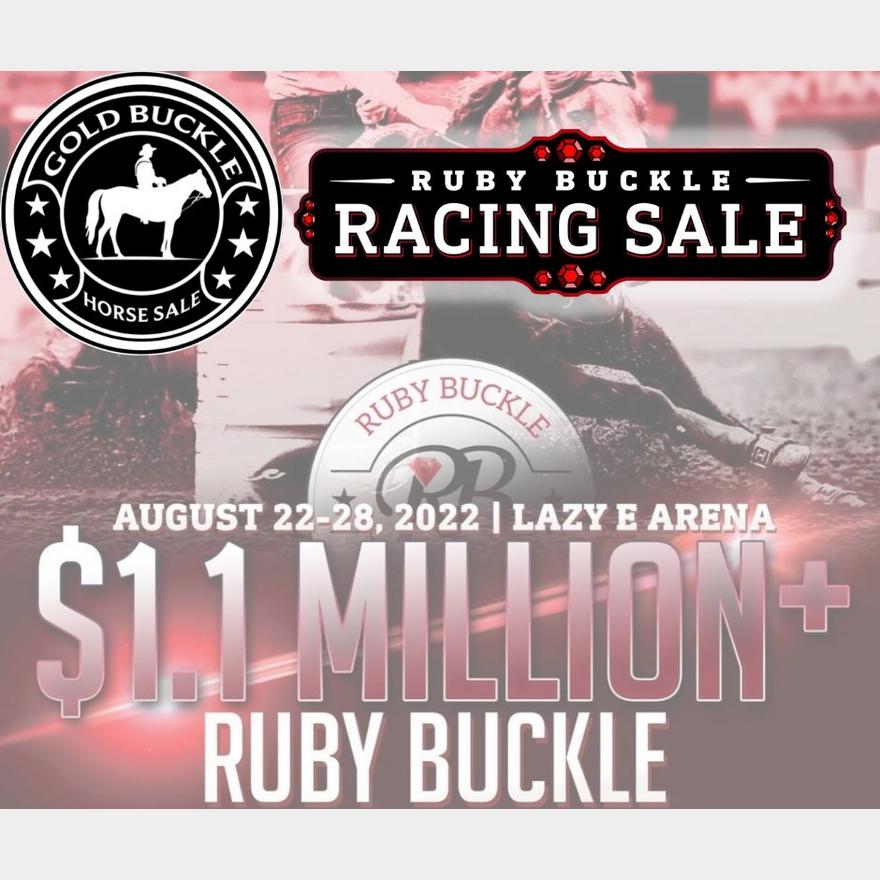 Ruby Buckle Racing Sale Bidding Details & LIVE STREAM Gold Buckle