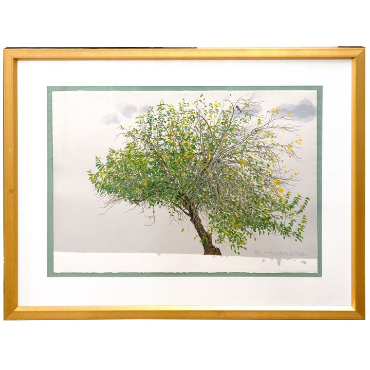 David Rose, 'Another Autumn Mulberry', 1990,