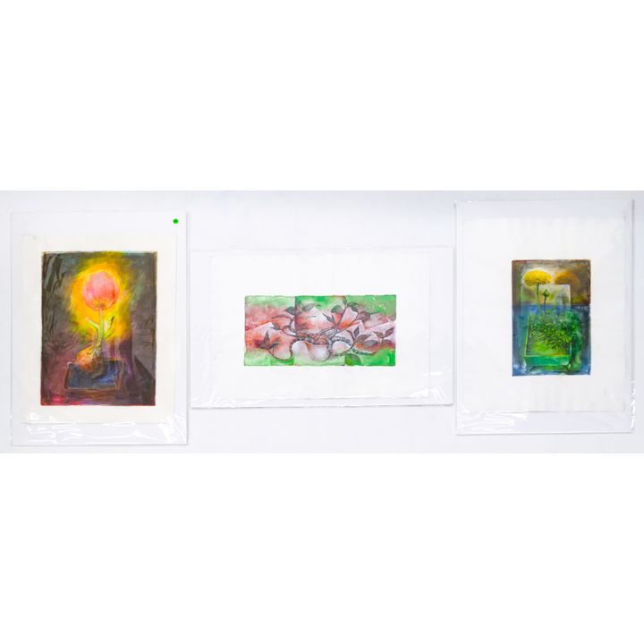 3pc Neil Meitzler Floral Monotypes 1990's Artworks 30''x22''