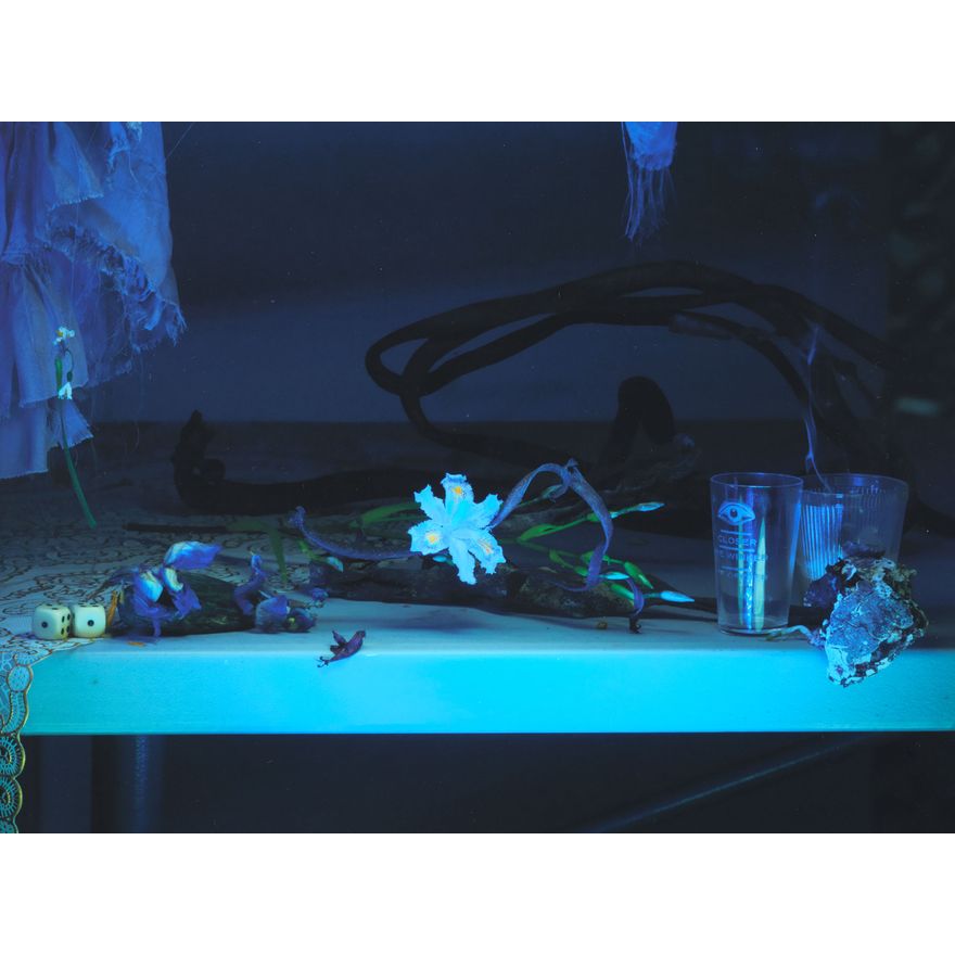 Fiona Pardington 'Colin’s Bearded Iris, Seaweed and Tipple Glass, McCahon 2013'