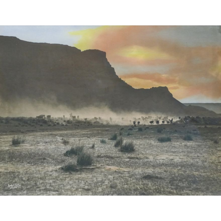 Asahel Curtis ''The Roundup'' Tinted Photograph