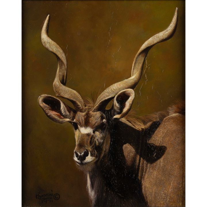 Kiyoshi, Kudu, 1971