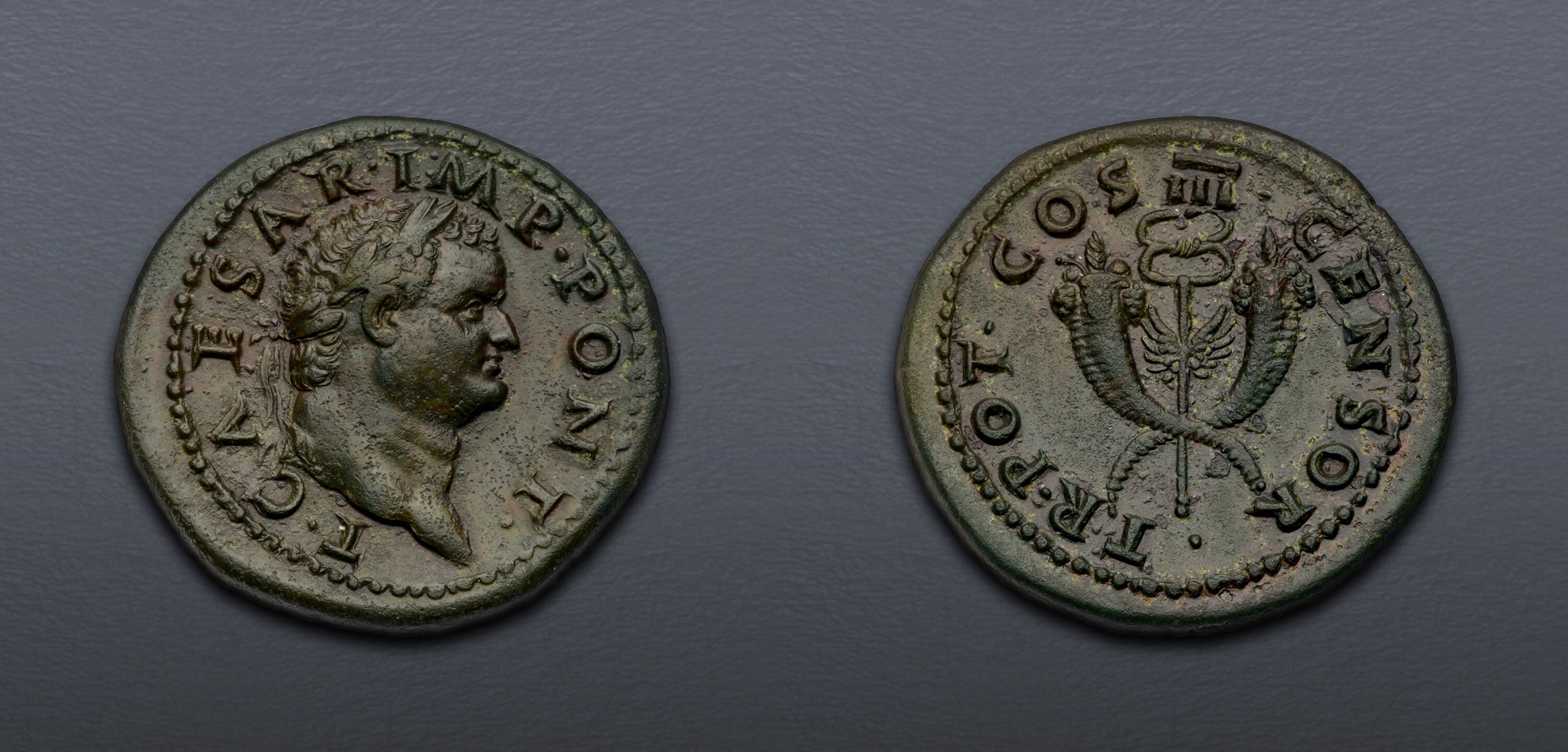 Titus. As Caesar, AD 69-79. Æ Dupondius (30mm, 14.64 g, 6h). Rome mint ...