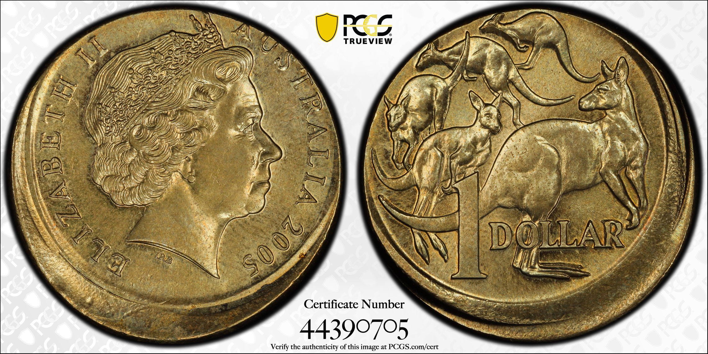 Mistrike Error One Dollar, 2005, PCGS MS64