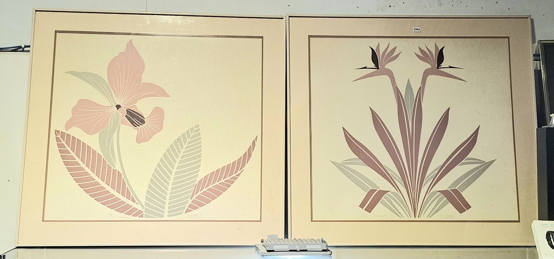 Limited Edition Prints