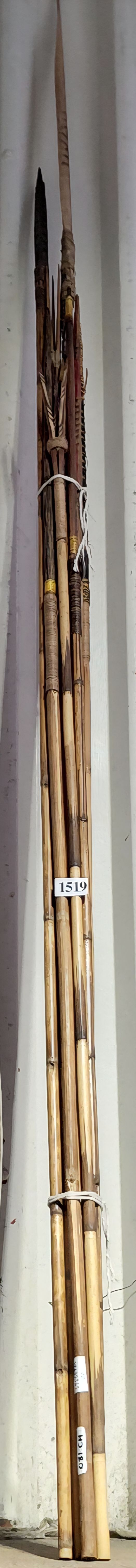 P.N.G. Arrows