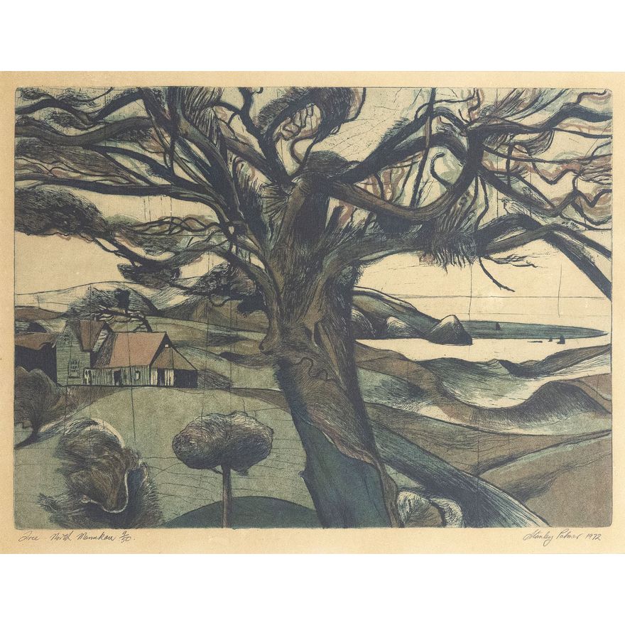 Stanley Palmer 'Tree - North Manukau'