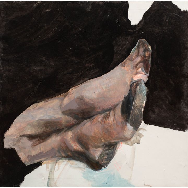 Norman Leto | Nielegalni imigranci 3, 2007