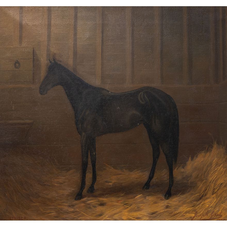 Joseph Gant 'Cynisca'