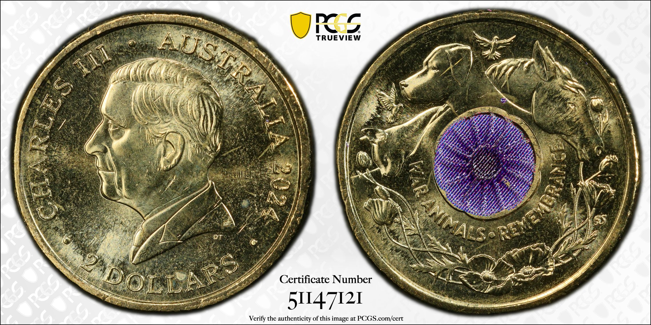 War Animal Remembrance Colorized , Two Dollar, 2024, PCGS MS65