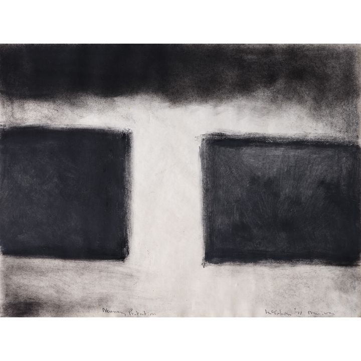 Colin McCahon 'Necessary Protection'
