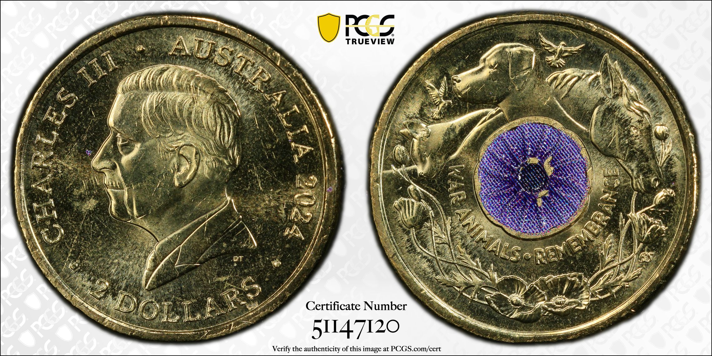 War Animal Remembrance Colorized , Two Dollar, 2024, PCGS MS64