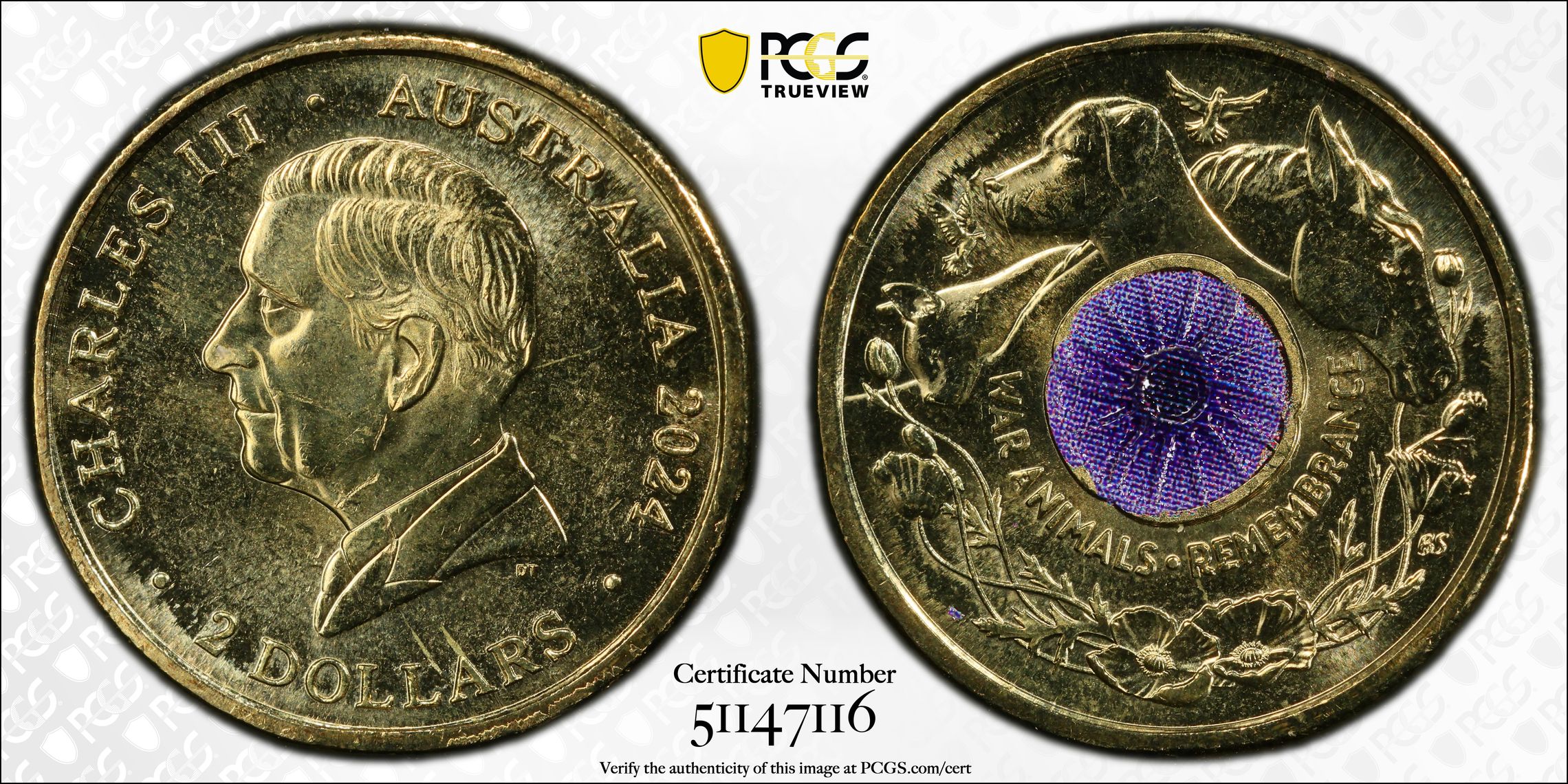 War Animal Remembrance Colorized, Two Dollar, 2024, PCGS MS65