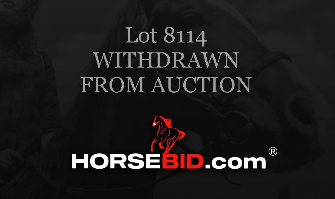 Lot 8114 Withdrawn | Horse Bid, LLC