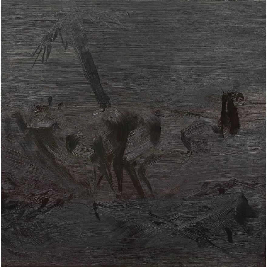 Aneta Kublik | Zobaczyć niewidoczne, 2018