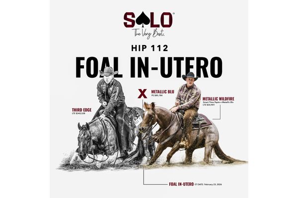 2027 embryo, Third Edge x Metallic Blu, Lot 112 in the Solo Select October Sale