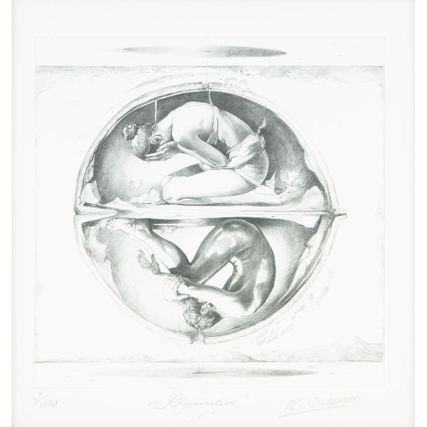 Wojtek Siudmak | Regeneration, 2011