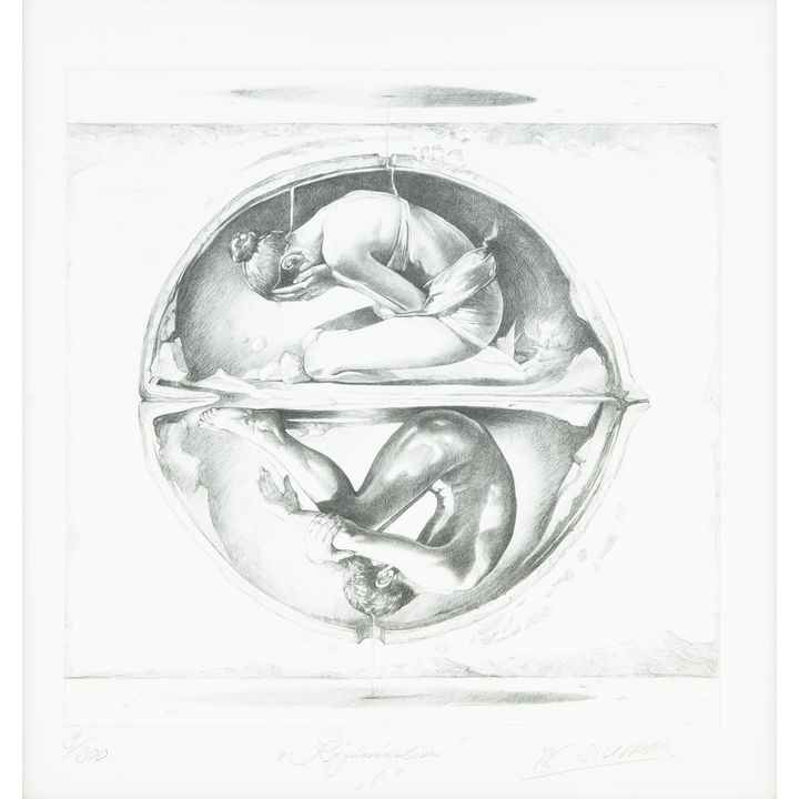 Wojtek Siudmak | Regeneration, 2011
