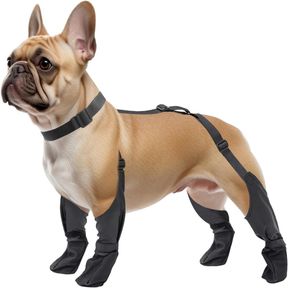 NAMSAN SMALL DOG BOOTS SUSPENDERS ADJUSTABLE DOGGY RAIN BOOTS OUTDOOR DOG SHOES PAW PROTECTORS ANTI-SLIP WATERPROOF PUPPY SUSPENDE