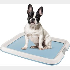 S IRIS USA PEE PAD HOLDER - FOR SMALL SIZED DOG AND PUPPY PEE PADS, SECURED LATCHES, NON-SKID FEET, HIGH POLISH FINISH FOR EASY CL