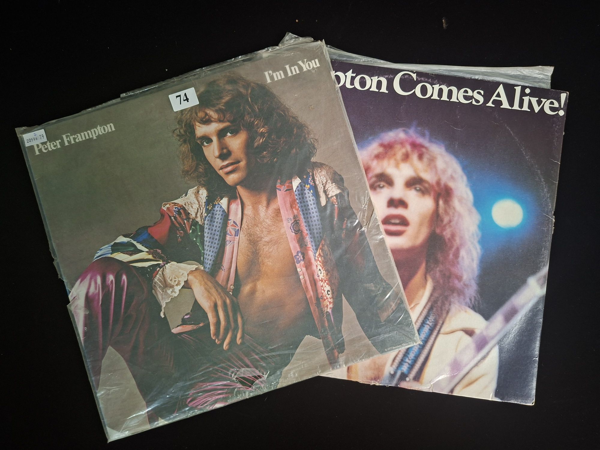 Peter Frampton