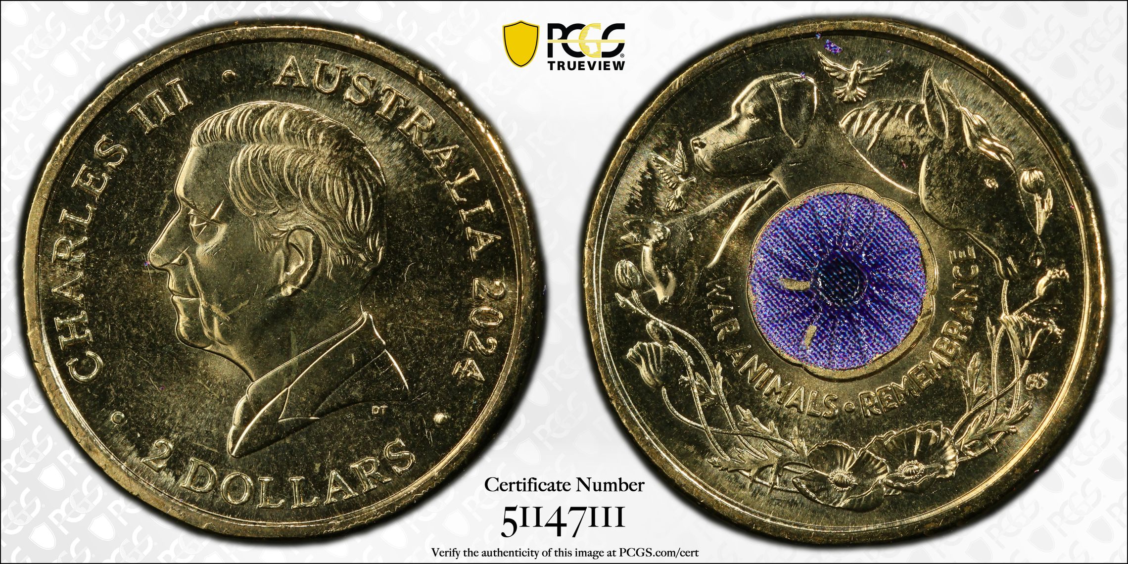 War Animal Remembrance Colorized, Two Dollar, 2024, PCGS MS64