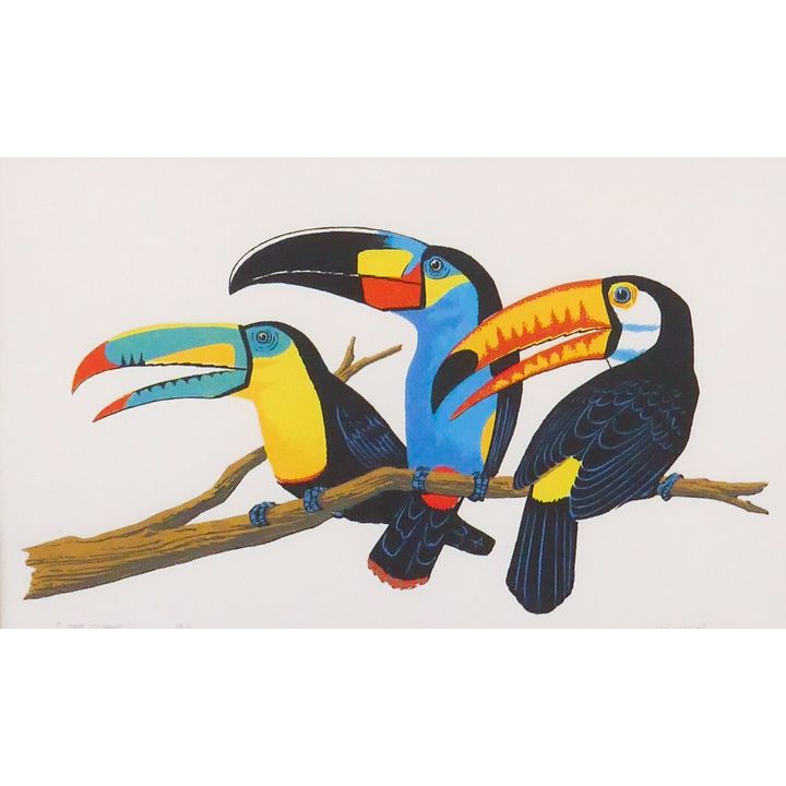 Kenneth Reeve Toucans S/N Serigraph Framed- 21x27''