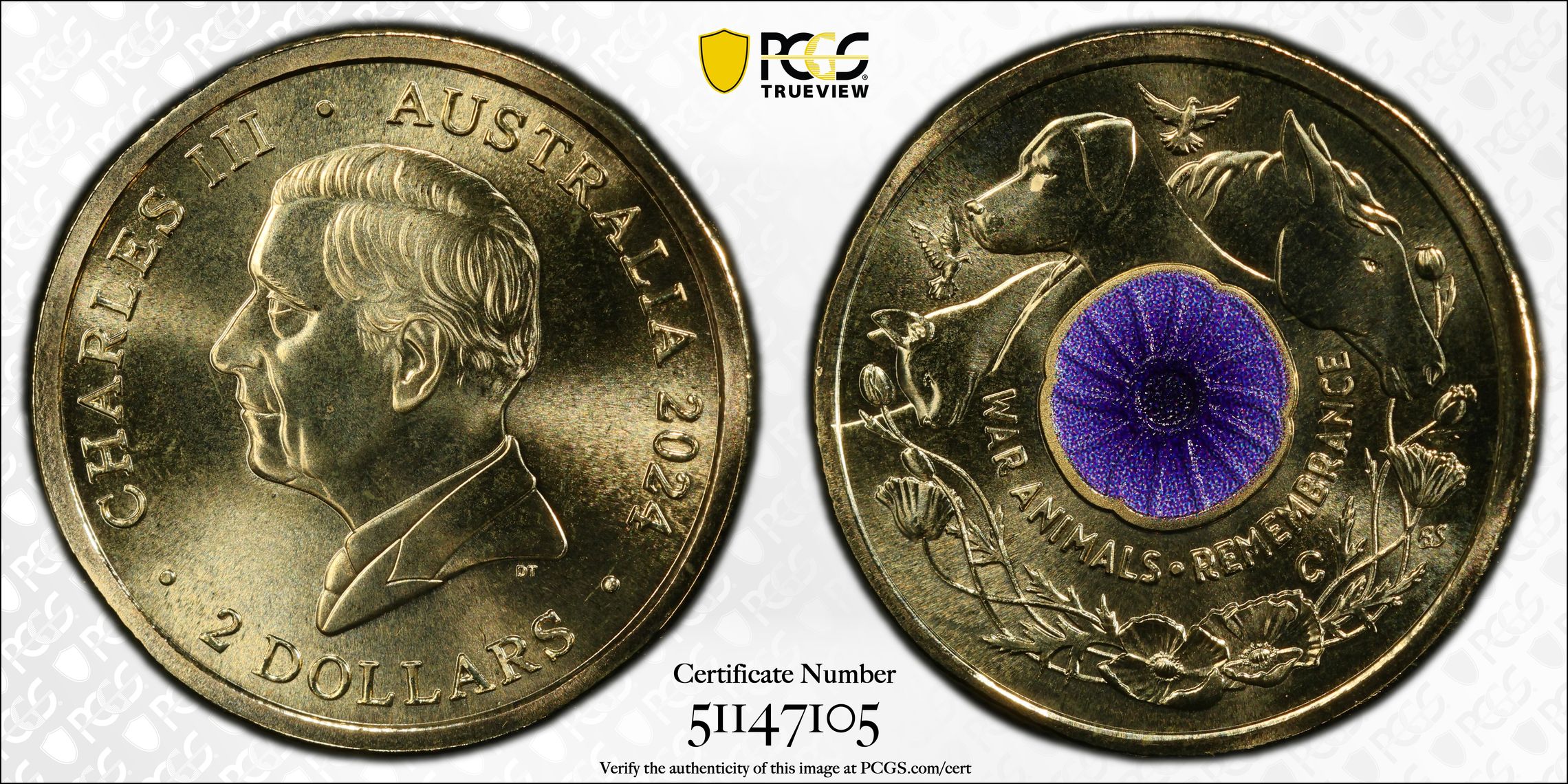 War Animal Remembrance Colorized , Two Dollar, 2024-C, PCGS MS69
