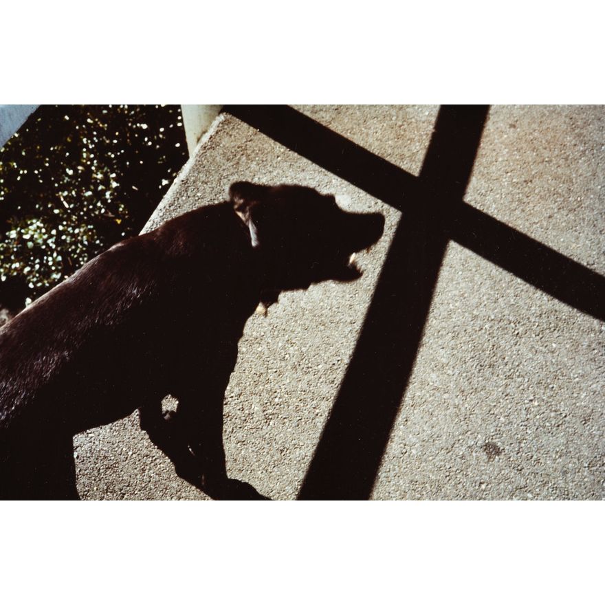 Peter Black 'Black Dog and Cross'