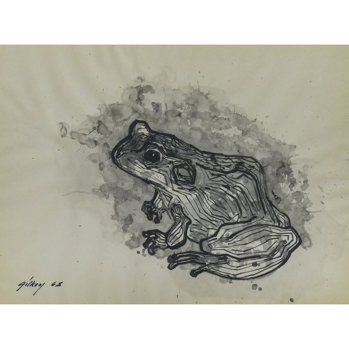Richard Gilkey ''Frog'' 1968 Ink