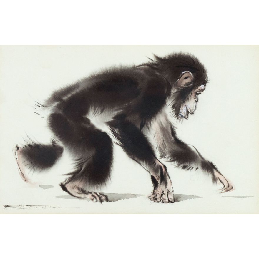 Ralph Thompson (1913-2009) Chimpanzee