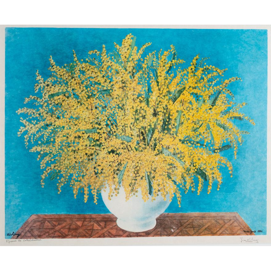 Mimozy