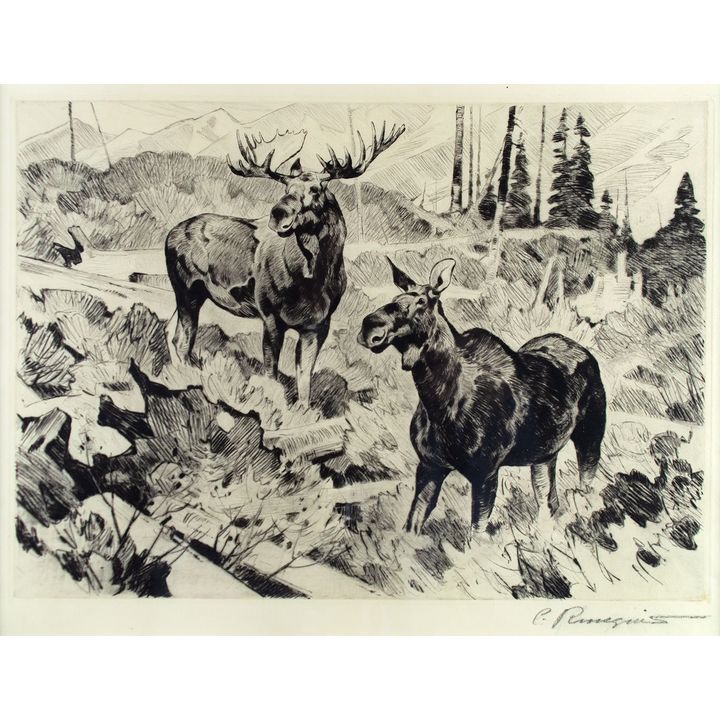 Mates by Carl Rungius (1869-1959)