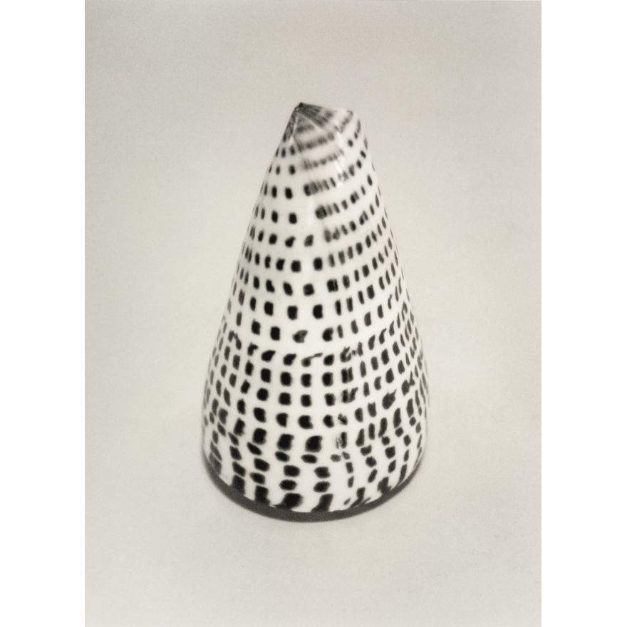 Peter Peryer 'Conus'