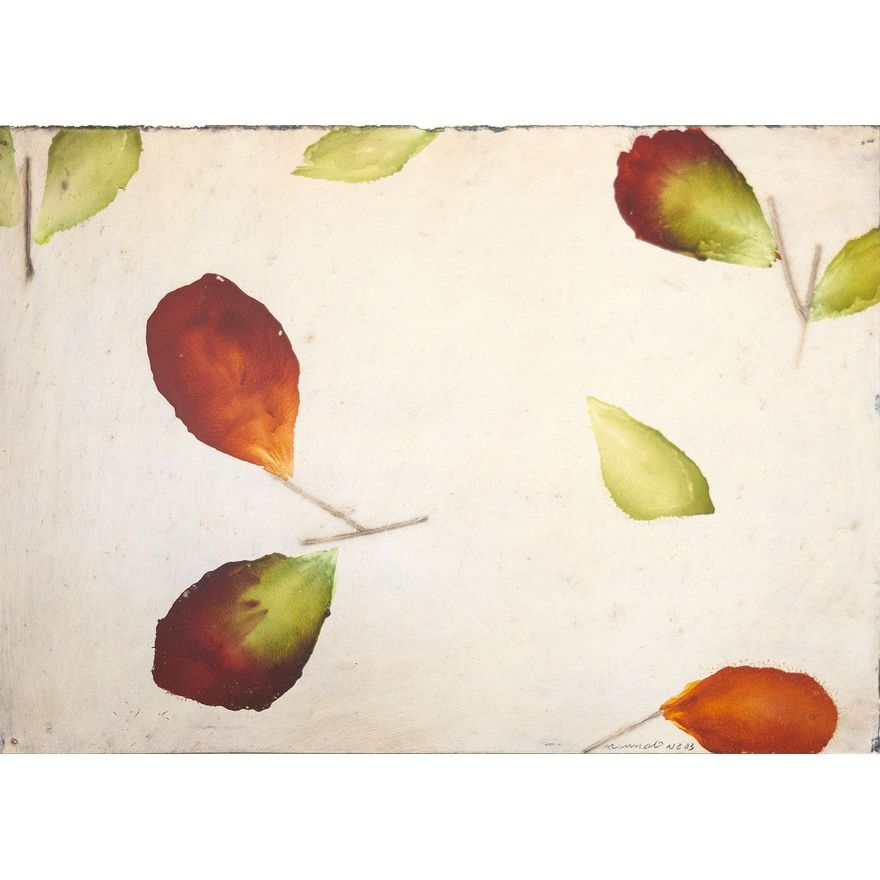 Antonio Murado 'Untitled'