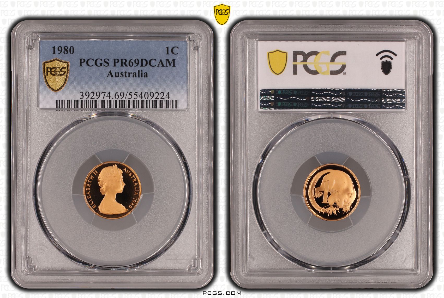 One Cent, 1980, Pcgs Pr69dcam