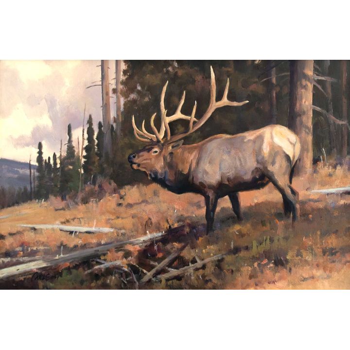 Autumn Light by Ken Carlson (1937- )