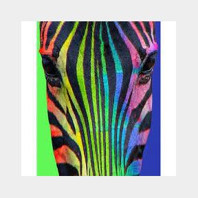 Diamond-Dot Painting Retro Zebra 40 50 --51490/374 B6 (S6)