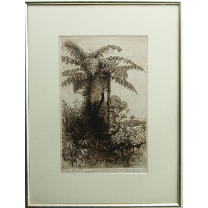 Trevor Lloyd 'Tree Ferns'