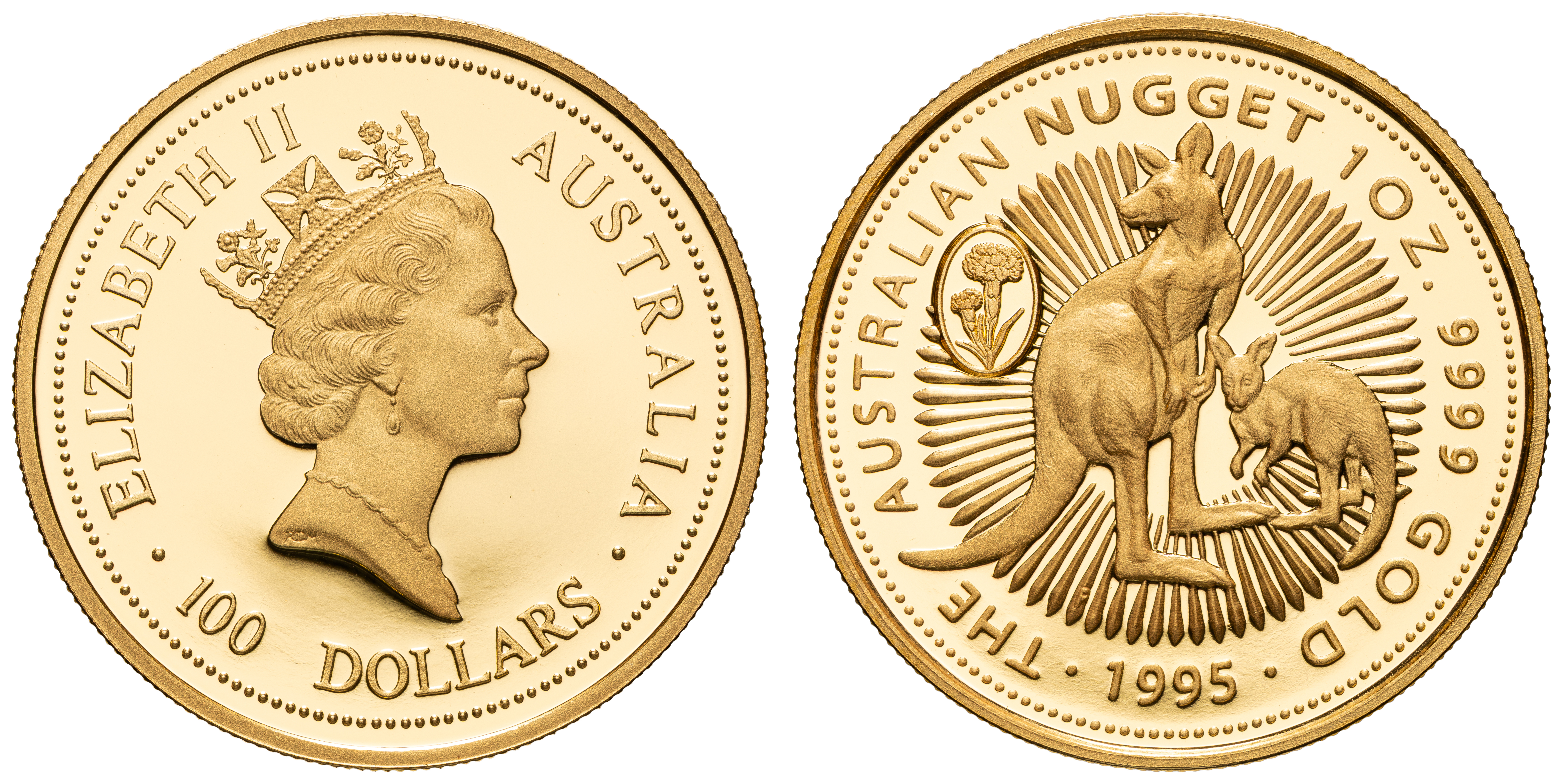 Elizabeth II, Perth Mint - Australian Nugget, One Hundred Dollars, 1995, FDC