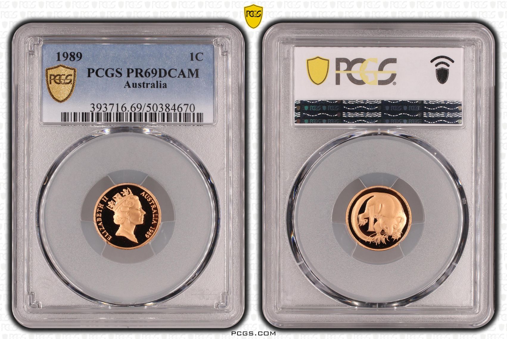 One Cent, 1989, Pcgs Pr69dcam