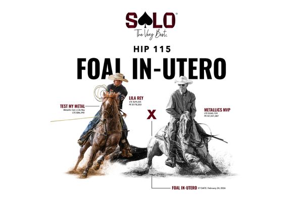 2027 embryo, Metallics MVP x Lila Rey, Lot 115 in the Solo Select October Sale
