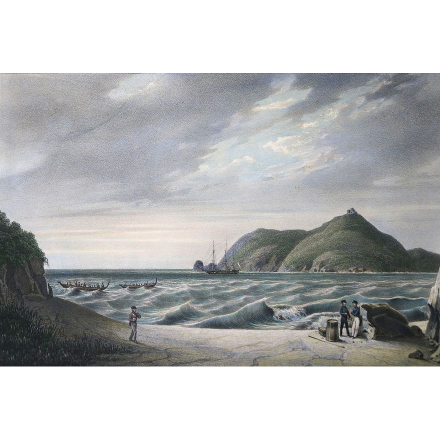 SAINSON, LOUIS AUGUSTE DE - L'anse de L'Astrolabe. [Nouvelle Zelande]