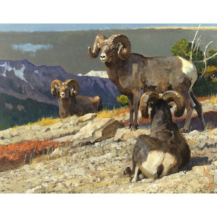 Bob Kuhn (1920-2007), Three Big Rams, 1985