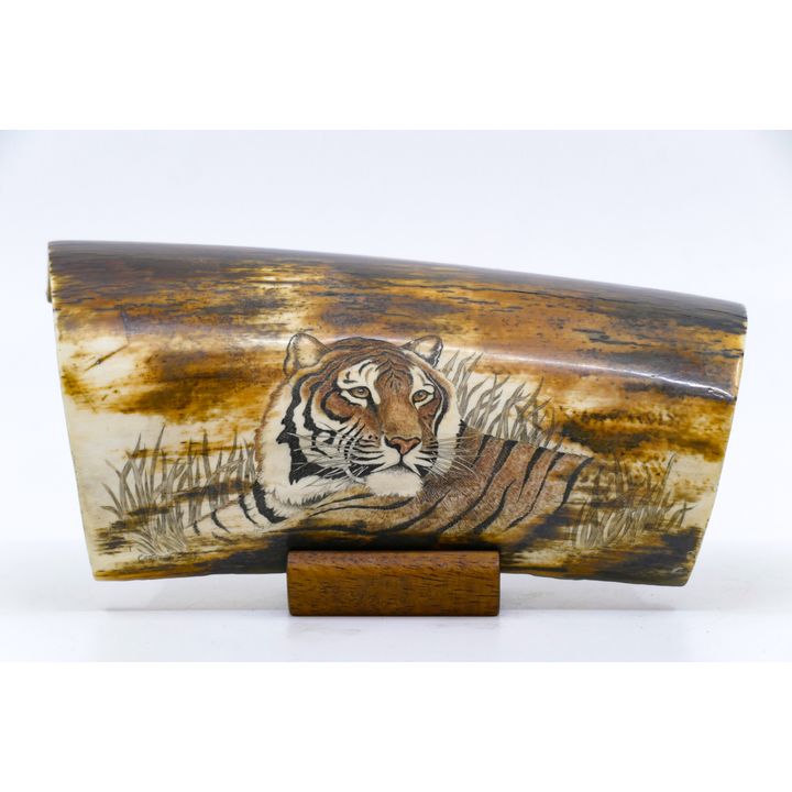 Catherine Young Scrimshawed Tiger Fossilized Tusk Fragment on Stand 6''